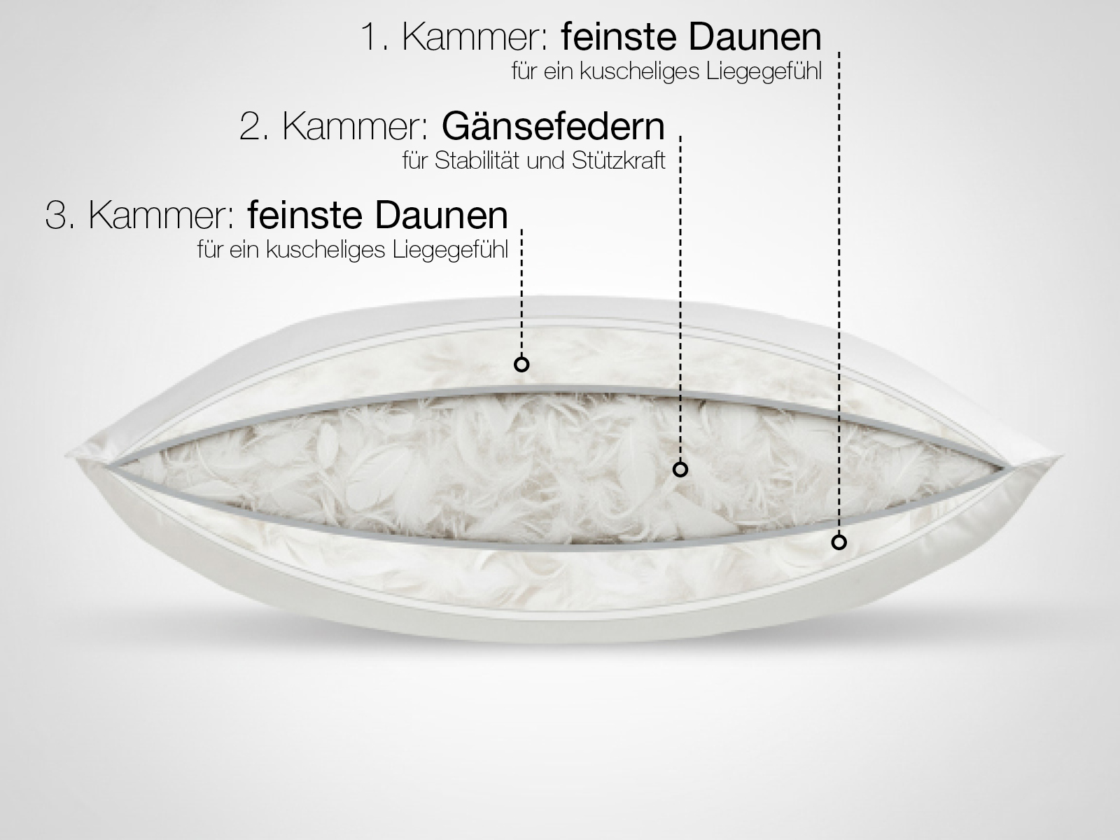 3 Kammern Skizze: Die Oberfläche schön weich und der Kern gut gestützt