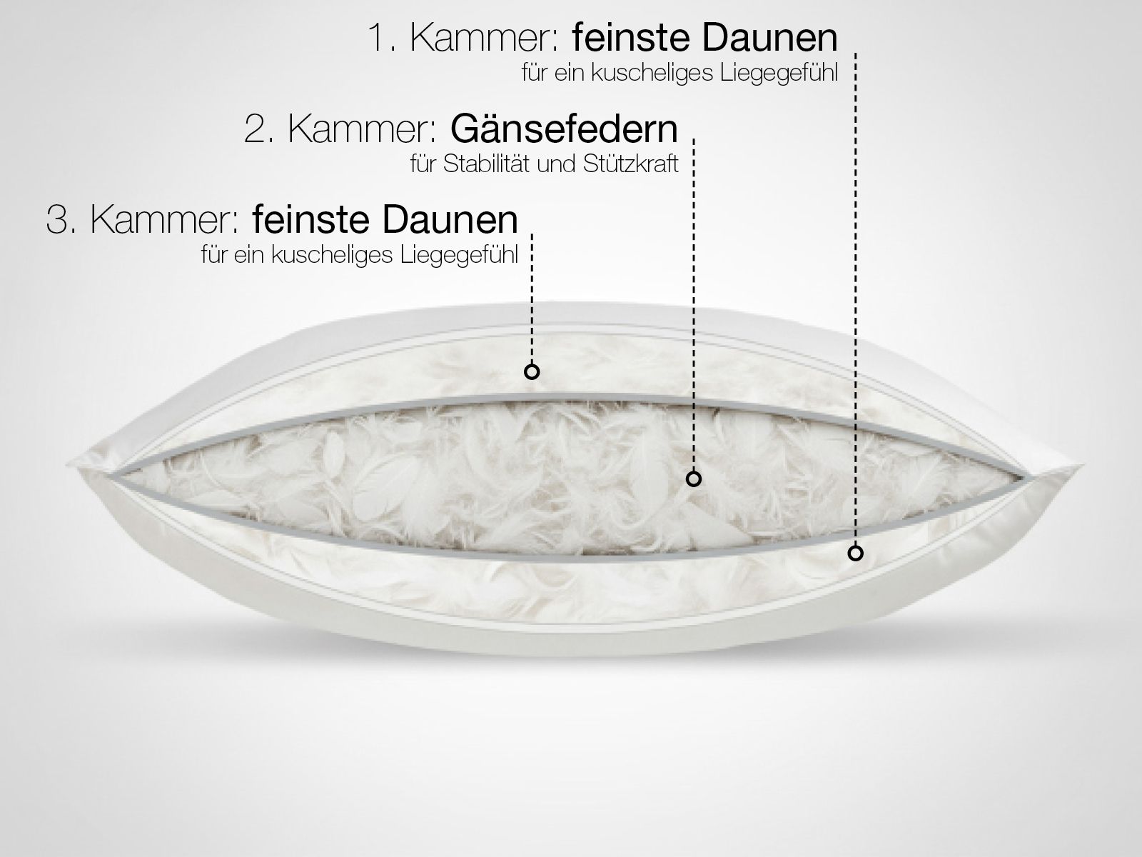 Beschreibung