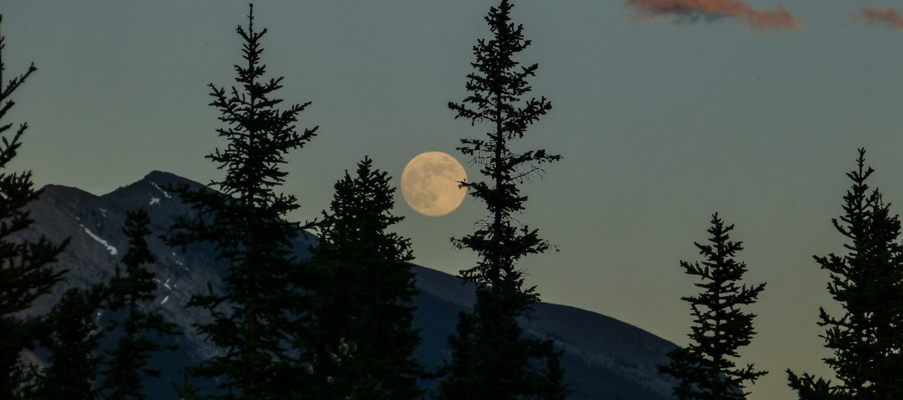 Schlaflosigkeit durch Vollmond